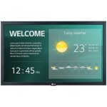 LG 22SM3G-B 22" Display