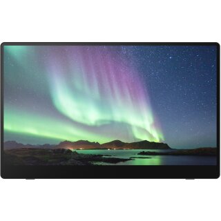 RICOH 150 Mobiler Monitor Touchscreen 15.6" OLED Full HD