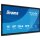 IIYAMA DS TE7515A 189.3cm IPS TOUCH 75/3840x2160/2xHDMI/DP/5xUSB/USB-C