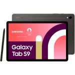 Samsung Galaxy Tab S9 256GB Wi-Fi DE Graphite