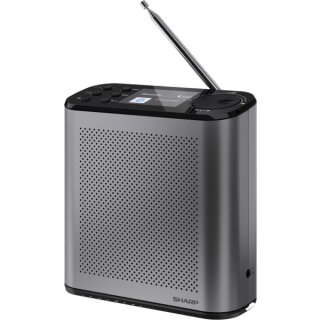 DR-P530 DAB+/BT Radio mit integr. Akku schwarz