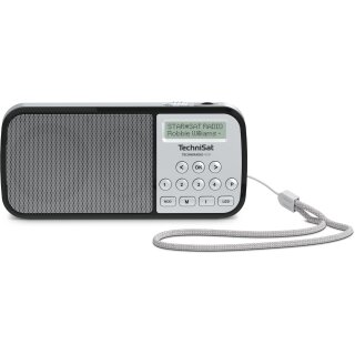 Technisat TechniRadio RDR silber