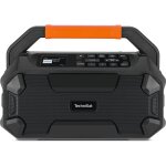 Technisat DigitRadio 231 OD schwarz