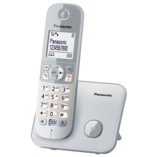 KX-TG6811GS silber