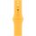 APPLE 41mm Sunshine Sport Band - M/L