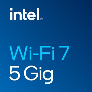 INTG INTEL WI-FI 7 BE200 2230 2x2 BE+BT NO vPro