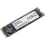 M.2 1TB Intenso Top Performance
