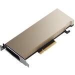 16 GB PNY NVIDIA A2 GPU-Rechenprozessor GDDR6 passiv