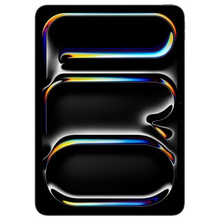 Apple iPad Pro 11 Wi-Fi 512GB space schwarz (5.Gen.)