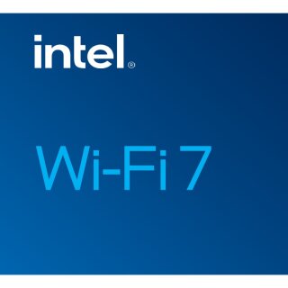 INTG INTEL WI-FI 7 BE202 2230 2x2 BE+BT No vPro