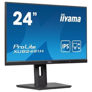 23.8/60.5cm iiyama ProLite XUB2491H *schwarz* 16:9