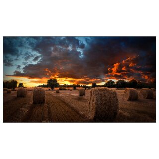 Samsung Smart Signage VM55B-U 138.70cm(55") 3.5mm B-to-B (Speditionsversand)