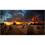 Samsung Smart Signage VM55B-U 138.70cm(55") 3.5mm...