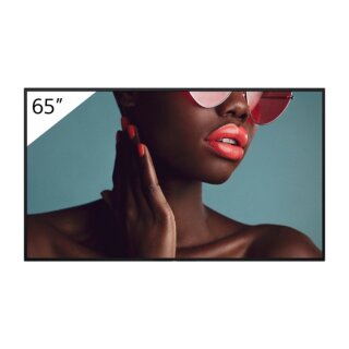 FW-65BZ40L 65INCH PRO