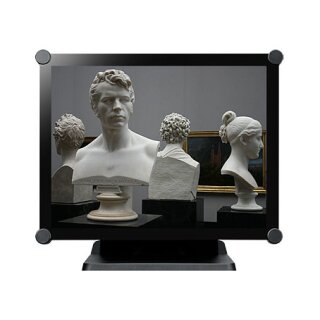 AG neovo TX-1502 38.1cm 4:3 10 Point Touch black