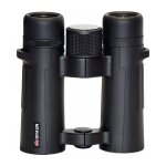 Braun Compagno 8x34 WP