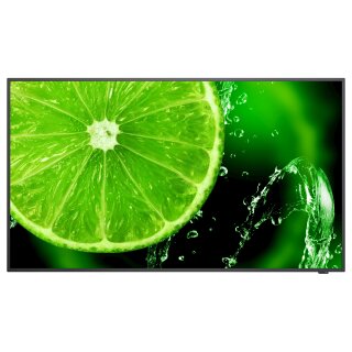 NEC MultiSync E498 49 Display UHD