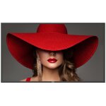 PHILIPS D-Line 55BDL4650D 24/7/UHD/500cd/Android11.0...