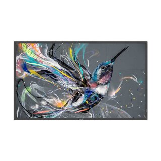 PHILIPS Q-Line 55BDL3511Q 18/7/UHD/400cd (Speditionsversand)