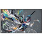 PHILIPS Q-Line 55BDL3511Q 18/7/UHD/400cd (Speditionsversand)