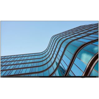 Lenovo THINKVISION E55