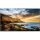 Samsung Smart Signage QE75T 189.00cm(75") DEAL ONLY (Speditionsversand)