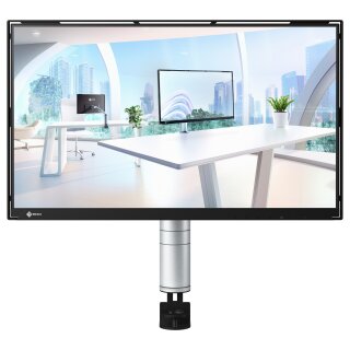EIZO 60.5cm (23.8") FLT 16:09 2xUSB-C IPS mit Schwenkarm