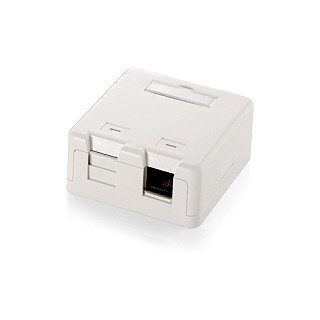 Equip Aufputzdose 2x Keystone Jack mit Abdeckung Premium ws