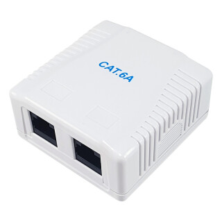 Equip Aufputzdose Cat6A 2-Port 2x RJ45 UTP