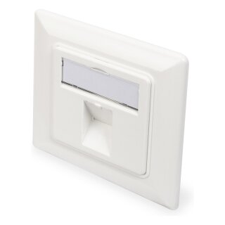 DIGITUS Leerdose Keystone Module.1xRahmen 80x80mm+Zentralp.