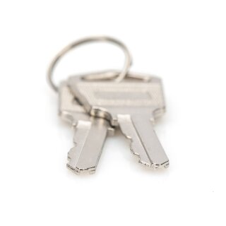 DIGITUS Schlüssel für Ladeschränke Artikel 347329/389306