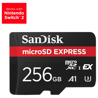 CARD Express Micro 256GB