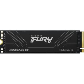 M.2 4TB FURY RENEGADE G5 2280