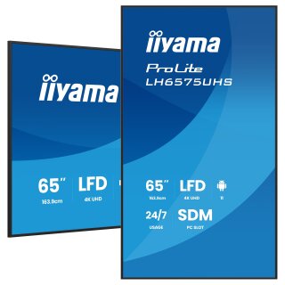 IIYAMA 164.0cm(65") LH6575UHS-B2AG 16:9 3xHDMI+DP+2xUSB (Speditionsversand)