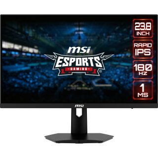 MSI Monitor G244F E2 (G244F E2)
