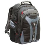 WENGER Pegasus Notebook Backpack for 15.6 - 43.9cm 15.6 -...