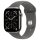 Apple Watch S11 Titan Natur Cellular 42mm (Sportarmband steingrau) M/L