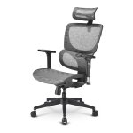 Sharkoon Brostuhl OfficePal C30M (grau)