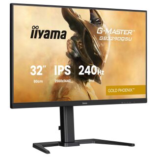IIYAMA 80.0cm (31,5") GB3290QSU-B1 16:9 2xHDMI+DP+2xUSB-C