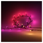 Philips Hue Festavia string lights 250LEDs EU