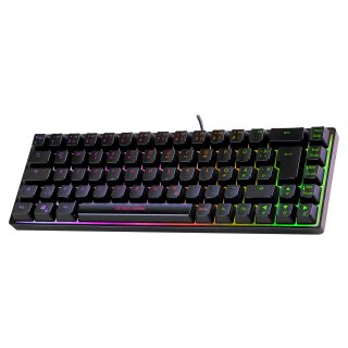 Deltaco Gaming Tastatur DK240 mini 60% USB, RGB black