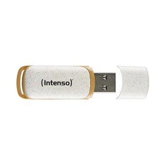 STICK Intenso Green Line 128 GB (beige/braun, USB-A 3.2 Gen 1)