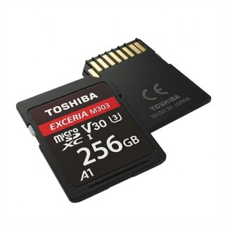 CARD Toshiba SD Exceria R100 N203 256GB