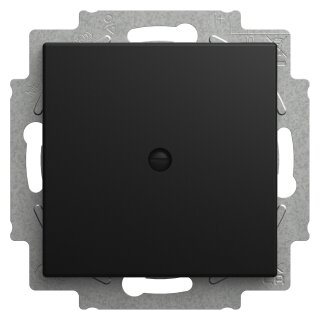 BUSCH JAEGER BJ 2538-915 Blindzentralscheibe mit Tragring Busch-balance® SI