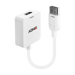 LINDY Konverter HDMI auf DisplayPort bis 4K 3840x2160 HDMI