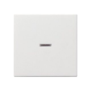 GIRA 029003 Wippe Kontroll reinweiß System 55