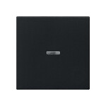 GIRA 0290005 Wippe Kontrollf. System 55 Schwarz