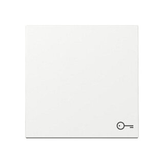 GIRA 328703 Wippe Symb. Tür System 55 Reinweiß