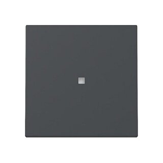 GIRA 329028 Wippe Kontrollf. System 55 Anthrazit