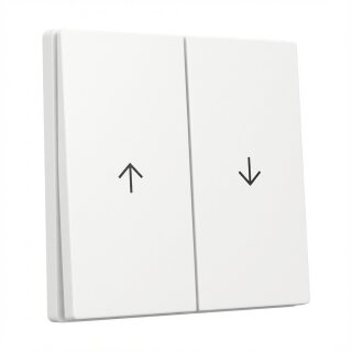 GIRA 329403 Wippe 2f Pfeil System 55 Reinweiß